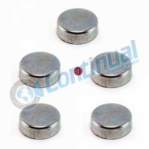 CALIPER PIN CAP SET