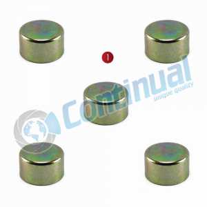 CALIPER PIN CAP SET