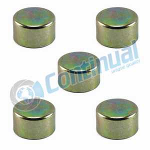 CALIPER PIN CAP SET