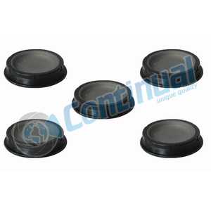 CALIPER HEAD SEALING PLUG SET