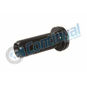 CALIBRATION BOLT