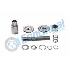 CALIPER LEVER REPAIR KIT