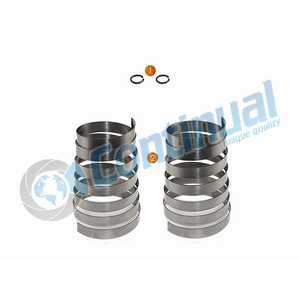 CALIPER SPRING SET