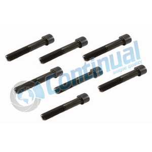 CALIPER BOLT SET